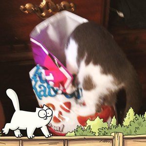 Meet your Posher, Dolores